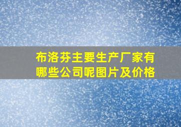 布洛芬主要生产厂家有哪些公司呢图片及价格