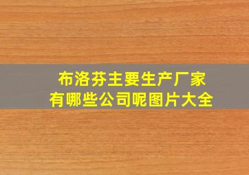 布洛芬主要生产厂家有哪些公司呢图片大全