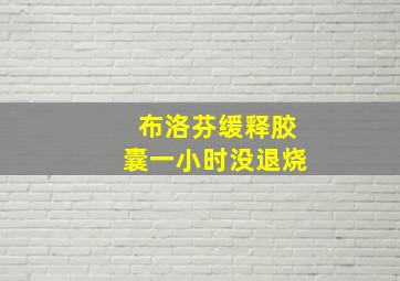 布洛芬缓释胶囊一小时没退烧