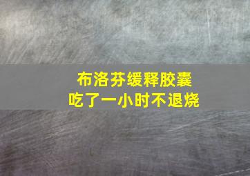 布洛芬缓释胶囊吃了一小时不退烧