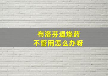 布洛芬退烧药不管用怎么办呀