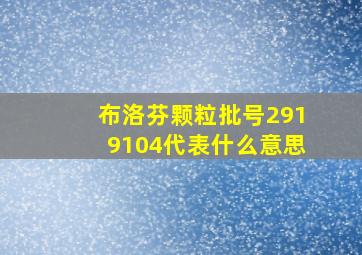 布洛芬颗粒批号2919104代表什么意思