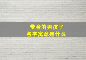 带金的男孩子名字寓意是什么