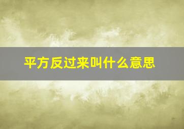 平方反过来叫什么意思