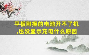 平板刚换的电池开不了机,也没显示充电什么原因