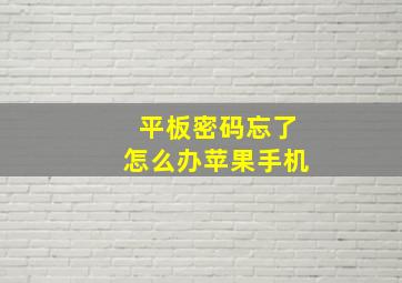 平板密码忘了怎么办苹果手机