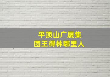 平顶山广厦集团王得林哪里人