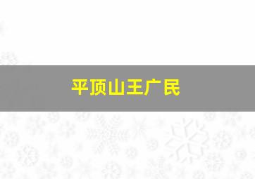 平顶山王广民