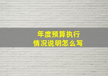 年度预算执行情况说明怎么写