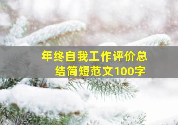 年终自我工作评价总结简短范文100字