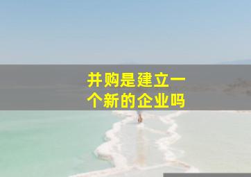 并购是建立一个新的企业吗