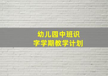 幼儿园中班识字学期教学计划