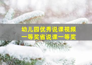 幼儿园优秀说课视频一等奖省说课一等奖