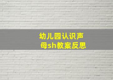 幼儿园认识声母sh教案反思