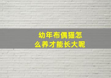 幼年布偶猫怎么养才能长大呢