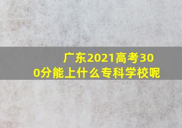 广东2021高考300分能上什么专科学校呢