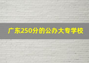 广东250分的公办大专学校