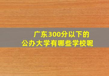 广东300分以下的公办大学有哪些学校呢