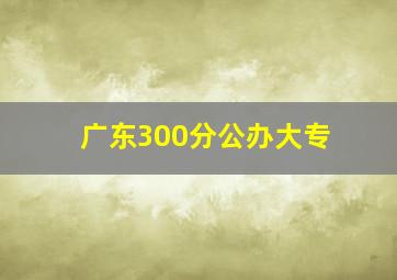 广东300分公办大专