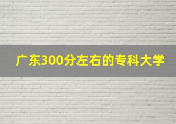 广东300分左右的专科大学