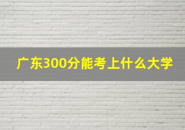 广东300分能考上什么大学