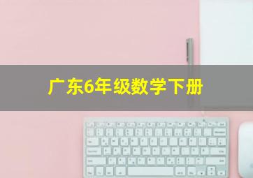 广东6年级数学下册