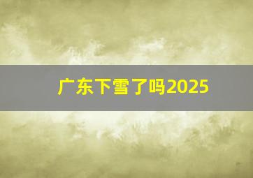 广东下雪了吗2025