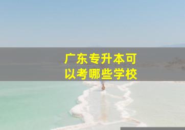 广东专升本可以考哪些学校