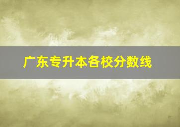 广东专升本各校分数线