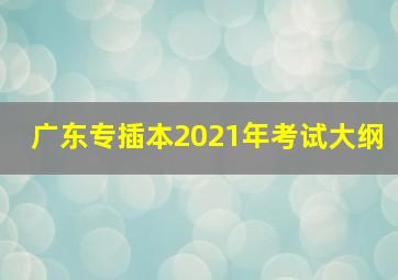 广东专插本2021年考试大纲