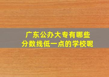 广东公办大专有哪些分数线低一点的学校呢