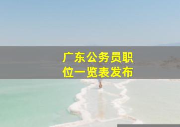 广东公务员职位一览表发布