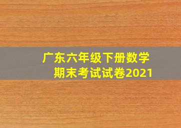 广东六年级下册数学期末考试试卷2021