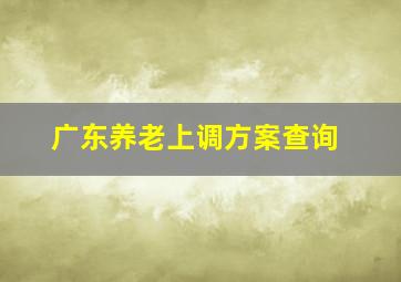 广东养老上调方案查询