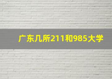 广东几所211和985大学