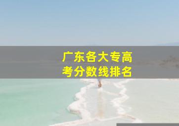 广东各大专高考分数线排名