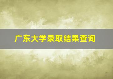 广东大学录取结果查询