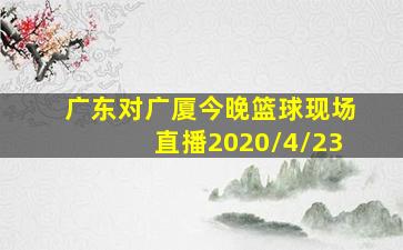 广东对广厦今晚篮球现场直播2020/4/23