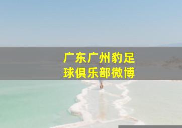 广东广州豹足球俱乐部微博