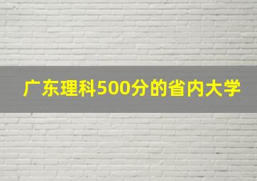 广东理科500分的省内大学