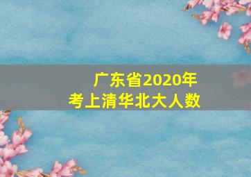 广东省2020年考上清华北大人数