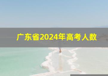 广东省2024年高考人数