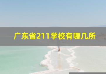 广东省211学校有哪几所