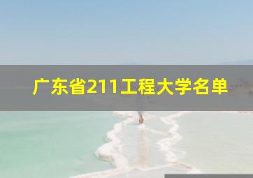 广东省211工程大学名单