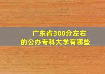 广东省300分左右的公办专科大学有哪些