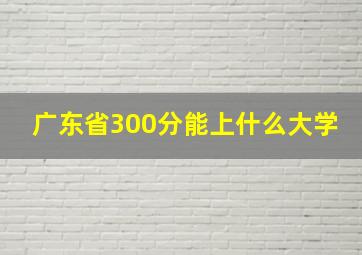 广东省300分能上什么大学