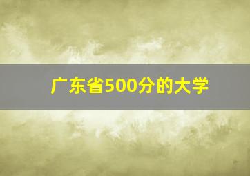 广东省500分的大学