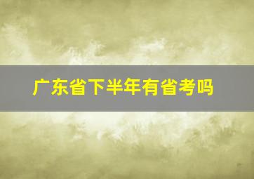 广东省下半年有省考吗