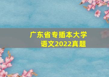 广东省专插本大学语文2022真题