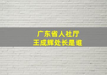 广东省人社厅王成辉处长是谁